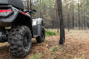 atv in the woods