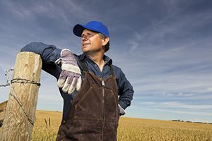 working on a ranch