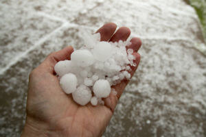 hand holding hail