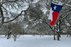 texas state flag