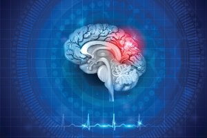brain graphic with red section