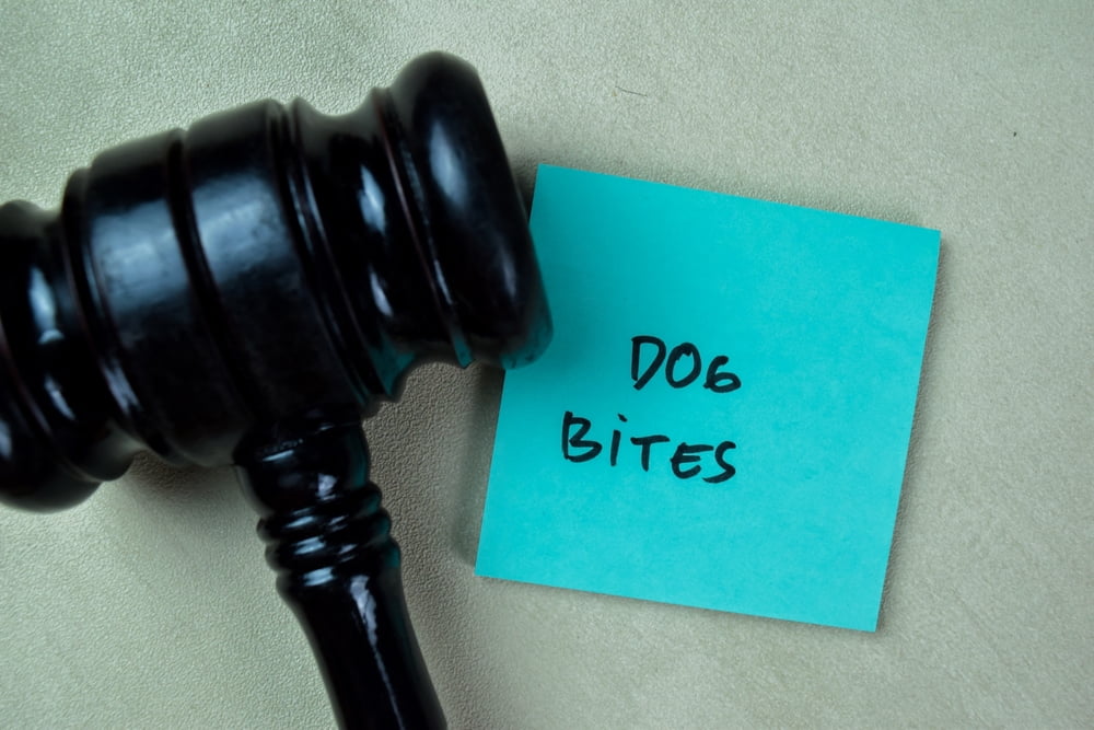 dog bite compensation